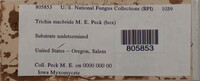 Image Associated With the Occurence